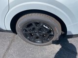 New 2025 Kia Carnival SX Prestige image 5