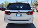 New 2025 Honda Odyssey Elite image 5