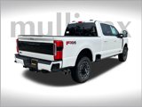 New 2025 Ford F250 Platinum image 3