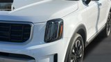 New 2025 Kia Telluride SX image 4
