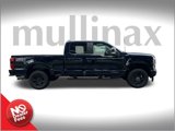 New 2025 Ford F250 XL w/ STX Appearance Package image 2