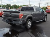 Used 2014 Ford F150 XLT w/ Equipment Group 302A Luxury image 5