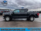 Used 2023 Ford F150 XLT image 2