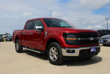 Used 2024 Ford F150 XLT w/ Equipment Group 302A MID image 3