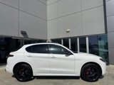 New 2025 Alfa Romeo Stelvio Tributo Italiano w/ Driving Assist Package image 2