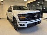 New 2025 Ford F150 XLT image 2