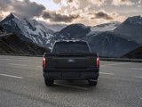 New 2025 Ford F150 Platinum image 5