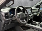 New 2025 Ford F150 XLT w/ Equipment Group 302A MID image 3