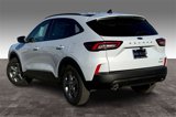 New 2025 Ford Escape ST-Line w/ Tech Pack #1 image 3