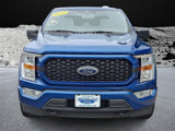 Certified 2022 Ford F150 XL w/ STX Appearance Package image 2