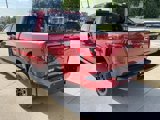 New 2025 Ford F150 XLT w/ Equipment Group 302A MID image 5