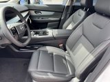 New 2025 Nissan Murano SL image 5