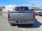 New 2025 Ford F150 STX w/ Equipment Group 200A image 6