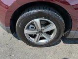 Used 2024 Ford Edge SEL w/ Convenience Package image 4