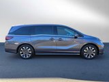 New 2026 Honda Odyssey Elite image 2