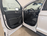 Used 2019 Ford Edge Titanium image 6