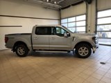 New 2025 Ford F150 XLT w/ Equipment Group 302A MID image 3