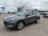 Used 2022 Ford Escape SE w/ Convenience Package image 2