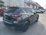 Used 2024 MAZDA CX-5 AWD 2.5 S image 2