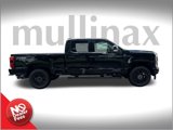 New 2025 Ford F250 Lariat w/ Lariat Ultimate Package image 2