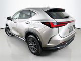 Used 2025 Lexus NX 350 AWD w/ Accessory Package (2T) image 5