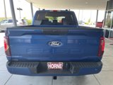 New 2025 Ford F150 STX image 5