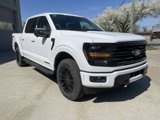 New 2025 Ford F150 XLT image 2
