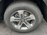 New 2025 Honda Pilot EX-L image 5