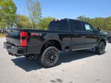 New 2025 Ford F250 Platinum image 4