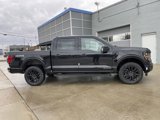 New 2025 Ford F150 XLT image 3