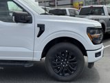 Used 2024 Ford F150 XLT image 3