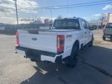 New 2025 Ford F250 XL w/ STX Appearance Package image 6