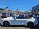 Used 2023 Ford Mustang Premium image 2