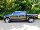 Used 2019 Ford F150 Platinum w/ Equipment Group 701A Luxury image 3