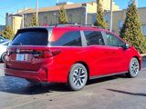 New 2025 Honda Odyssey EX-L image 3