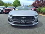 Used 2024 Ford Mustang Premium image 2