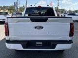 New 2025 Ford F150 STX w/ Equipment Group 200A image 5