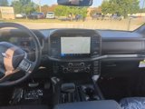 New 2024 Ford F150 XLT w/ Equipment Group 302A MID image 6