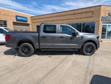 New 2025 Ford F150 STX image 6