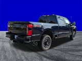 New 2025 Ford F250 Platinum image 4