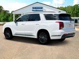 New 2025 Hyundai Palisade Calligraphy image 4