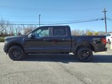 New 2025 Ford F150 STX image 6