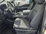 Used 2024 Ford F150 XLT w/ Equipment Group 302A MID image 4