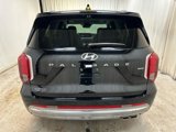New 2025 Hyundai Palisade Calligraphy image 5