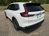 New 2026 Honda CR-V EX-L image 4