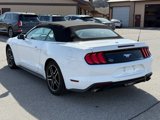 Used 2023 Ford Mustang Premium image 6