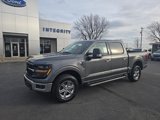 New 2024 Ford F150 XLT w/ Equipment Group 302A MID image 2