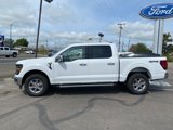 New 2025 Ford F150 XLT image 3