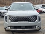 New 2025 Kia Carnival SX image 2