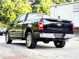 Used 2019 Ford F150 XLT w/ Equipment Group 302A Luxury image 3